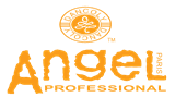ANGEL PROFESSIONAL